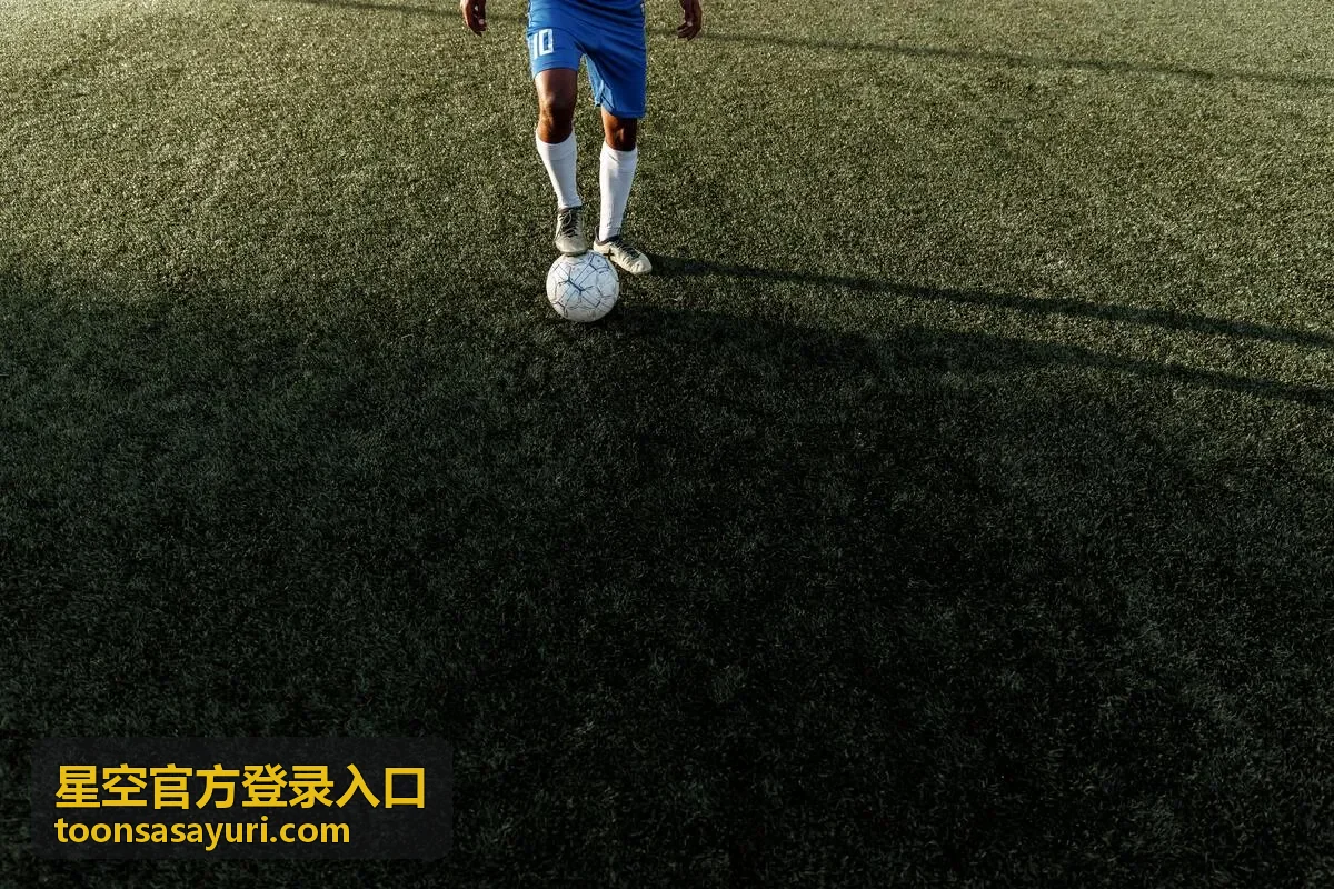 星空官方登录入口回放入口查询页的往期回放归档总览
